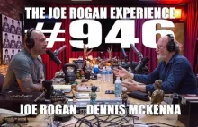 Dennis McKenna w Joe Rogan Experience