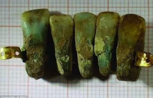 Proteza stomatologiczna sprzed 700 lat