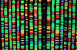 DNA zamiast twardych dysków?