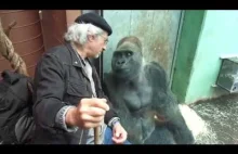 Gorilla Roututu- Starsi panowie dwaj - rozmowy o życiu..