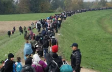 Kukiz zebrał już 100 tys. podpisów pod referendum ws. uchodźców.
