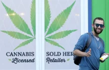 Kanada sprzedała marihuanę o wartości 43 mln$ w pierwszych 2 tyg po legalizacji