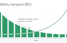 Szybki zysk, czy długofalowy efekt - porównanie marketingu w wyszukiwarkach
