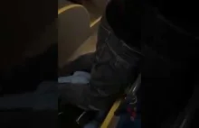 Seba zatrzymany przez kierowcę autobusu