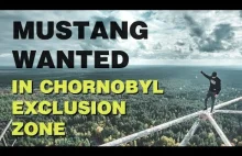 Mustang Wanted wspina się na Oko Moskwy