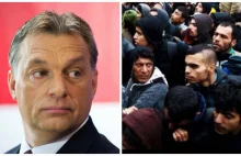 Orban: W Europie nie wolno mówić o tym, że imigranci przynoszą terroryzm.