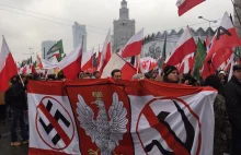 Szwedzki minister chce zakazać Marszu Niepodległości w Warszawie