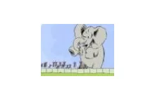 Reklama wideo Solidarności - mrowki i słoń promują związek