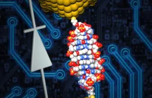 Oto najmniejsza dioda na świecie, wykonana z... DNA