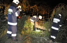 Orkan Aleksandra. Kilka tysięcy odbiorców bez prądu