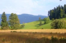 Vorarlberg: natura i kultura smaku