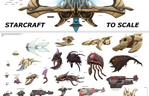 Skala jednostek ze Starcrafta