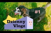 SPACER Z DOGO - DziennyVlogz #1