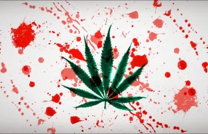 Czerwony Krzyż oficjalnie dopuszcza oddawanie krwi przez palących marihuanę.