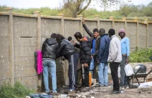 Francja: Krwawe starcia między imigrantami