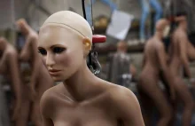 Seks-roboty z funkcją gwałtu. Kobieca przyszłość maluje się w mrocznych...