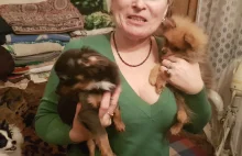 Nielegalna hodowla psów w Łodzi. Trzymają 40 psów w małym mieszkaniu w bloku...