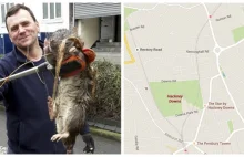 Szczur gigant znaleziony na placu zabaw w Londynie wschodnim •