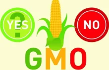 Audycja ministerstwa środowiska na temat GMO