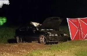 Tragedia po zderzeniu z łosiem. 19-latek zginął na miejscu