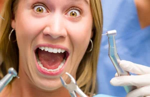 Komórki macierzyste zregenerują nam zęby?