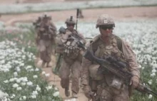 W Afganistanie uprawy maków do produkcji heroiny chronią amerykańscy żołnierze