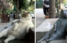 Kot Tombili doczekał się figurki z brązu w Stambule