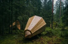 Gigantyczne drewniane megafony w środku lasu w Estonii. By usłyszeć las
