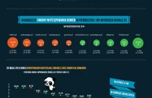 Infografika - Najwięksi gracze w wynikach Google