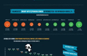 Infografika - Najwięksi gracze w wynikach Google