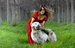 Piękne zdjęcia ładnej pani z wilkiem i wilka.