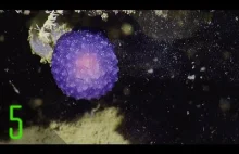 Pięć tajemniczych odkryć dokonanych w morskich głębinach w roku 2016 [ENG]