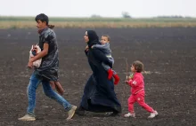 Węgry: Kolejni imigranci próbujący przekroczyć granicę będą aresztowani