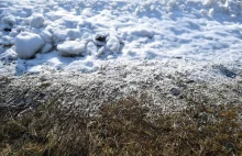 O tej porze Polska powinna być pod śniegiem. Wiosną grozi nam susza