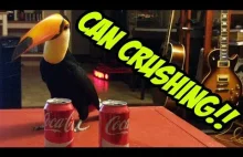 Toucan vs. 2 Cans