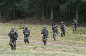 Niemcy rozważają użycie Bundeswehry wewnątrz kraju [GER]