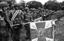 Marszałek Bernard Montgomery oskarżył Polaków o tchórzostwo
