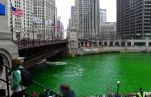 Zielona Rzeka Chicago- Dzień św. Patryka