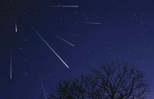 Dziś wieczorem czeka nas maksimum meteorów z roju Leonidów.