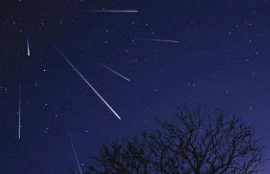 Dziś wieczorem czeka nas maksimum meteorów z roju Leonidów.