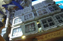Wyniki eksperymentu BIOMEX na ISS pokazały, że życie na Marsie jest możliwe.