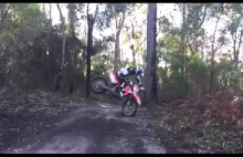 Motocrossowy trik z wykorzystaniem drzewa