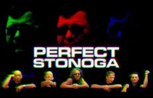 PERFECT FEAT. ZBIGNIEW STONOGA - MAMY TO W PIŹDZIE