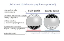 Wszystko(?) co chcielibyście wiedzieć o ebookach…