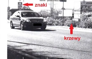 Fotoradar wycelowany w billboard i krzaki mierzy prawidłowo?