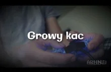 Growy kac - co czujemy po przejściu gry...