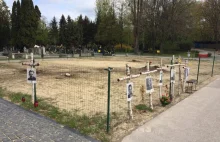 Powązki: Ruszył ostatni etap poszukiwań ofiar komunistów