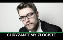 Australijczyk recytuje "Chryzantemy Złociste"