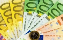 Fitch: Polska i Czechy najmniej zyskają na przyjęciu euro