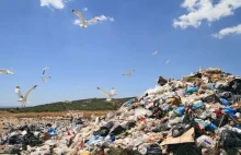 Wyższe stawki za śmieci mają zwiększyć recycling